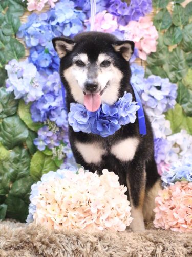 20250605ひめちゃん